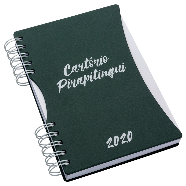 AGENDA DIÁRIA 6699CA-AGD6699CA