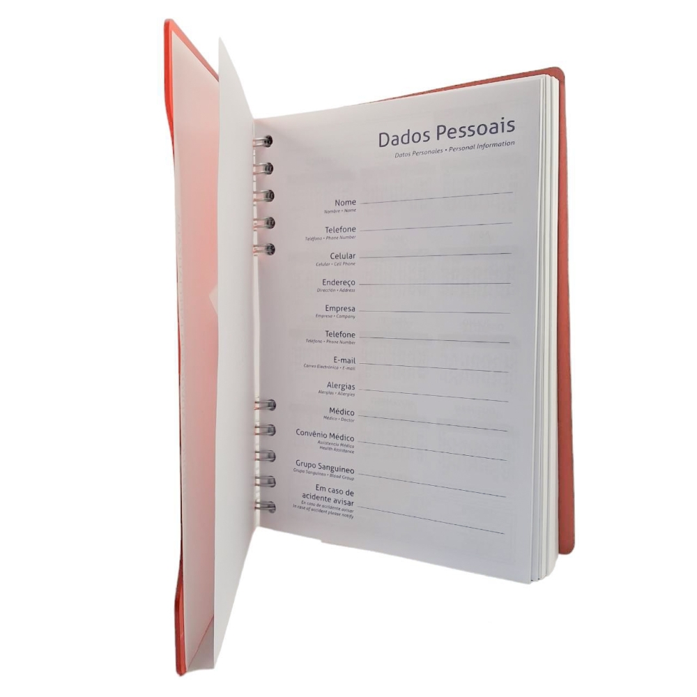 AGENDA DIÁRIA 8536AC