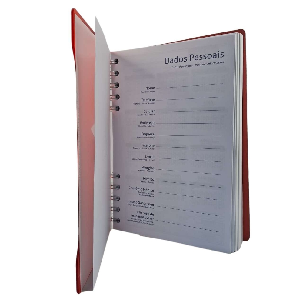 AGENDA DIÁRIA COM RECORTE